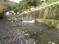 自然河川プール