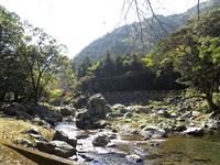 吉原川のせせらぎ
