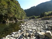 野根川